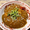 カレーうどん (中国妻料理)