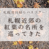 【札幌】札幌周辺の紅葉の名所を巡る日帰りバスツアーに参加（恵庭渓谷/支笏湖/洞爺湖など） Go To Travel利用