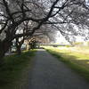 0406花見とアウトドアデイジャパンと三峯神社ツー後編