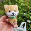 まめたみつけた～