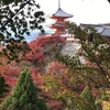 京都の紅葉