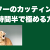 ギターのカッティングを3時間半で極める方法