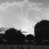 公園6：00ｐｍ