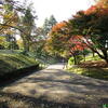 泉自然公園の紅葉２０１４年♪（千葉県千葉市若葉区野呂町）