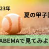 【夏の甲子園2023】ABEMAが贈る！全試合が無料ライブで視聴可能！
