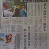 『安倍山系』の功罪