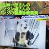 だれがパンダに聞いたんだ　by安住紳一郎さん　そして健康診断の様子　by王子動物園より