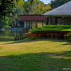 洞峰公園の彼岸花～つくば市とその周辺の風景写真案内（１３１９） 