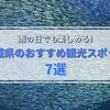 2023年GW！雨の日におすすめな茨城の観光スポット7選