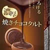 溶けないから安心のチョコおやつ