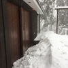 4月の大雪