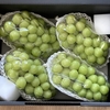 ふるさと納税　その4　甲州市から返礼品のシャインマスカットが届いたのである