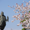 ハマっ子静岡に来る　～親には懐かしの駿府城公園へ～