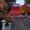 紅葉の近江神宮