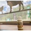 高千穂牧場で「高千穂牧場のむヨーグルト」を飲む🐄　@宮崎県都城市