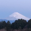 今朝の景色