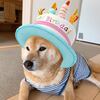 コロ助12歳になりました