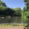 森林公園
