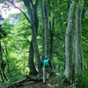 【八十里越七名山】七名山登頂まであと二つ！新潟県三条市の番屋山（933.3m）に登った話。【新潟100名山】