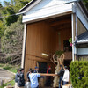 近江八幡に春がやってきたその１