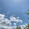 修復がうまくいかなかった組織が正常化