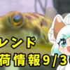 【入荷情報】9/3熱帯魚フレンド