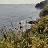 猿島
