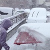 雪！雪！！雪！！！