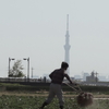 ４月３０日　千葉県松戸市から市川市まで猫さま歩き　とその情景