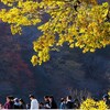 これも京都の渡月橋！