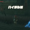 ゼルダの伝説BotW：プレイ日記24