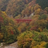 松川渓谷、紅葉、今見ごろ！（長野県高山村・高井橋付近にて）