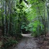 板野町内ロケハン