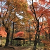 榛名山　紅葉巡り　＃１