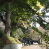 2020.11.08　雨引山登山～根本山公園