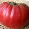 ブランディーワインとは？巨大で濃厚な味わいを楽しめる人気トマト【固定種】