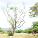 sui’s blog