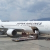 B777が無くてもB767があるじゃない　JAL114便 伊丹ー羽田 搭乗記　