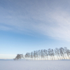 2024年2月 北海道の旅 〜美瑛風景編〜