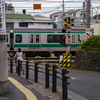 LUMIX GH3で撮る新海誠作品の聖地～須賀神社（君の名は。）・新宿御苑（言の葉の庭）～