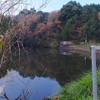 貴志川スポーツ公園の池（仮称）（和歌山県貴志川）