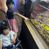 5歳と1歳　6月8日　　水族館