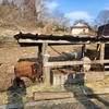 動物園に行きたいからの牧場へ👉