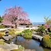 【京都】大原野、『正法寺』に行ってきました。京都桜 そうだ京都行こう 京都観光