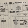 【小腸カンジダ梅干しのすすめ】小腸のカンジダ真菌類をとりのぞくと健康になって元気になるのではという話【カロリー計算以外の視点】