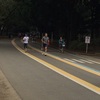 ハリアーズの駒沢公園30km走に混ぜてもらいました