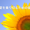 暑い夏を乗り切るための備忘録