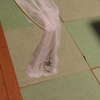 やや閲覧注意？モークーカイデー！