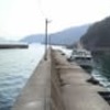 釣り紀行♯４４～海水温の低下に大苦戦～