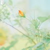 感情と身体感覚はリンクしていますか？
